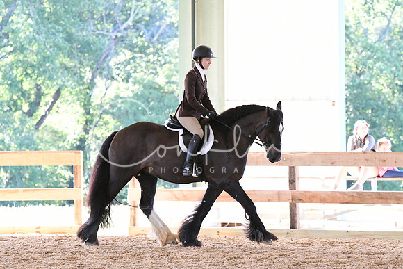 HSM_0497