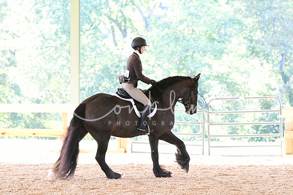 HSM_0511