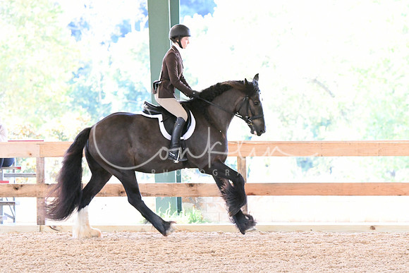 HSM_0513
