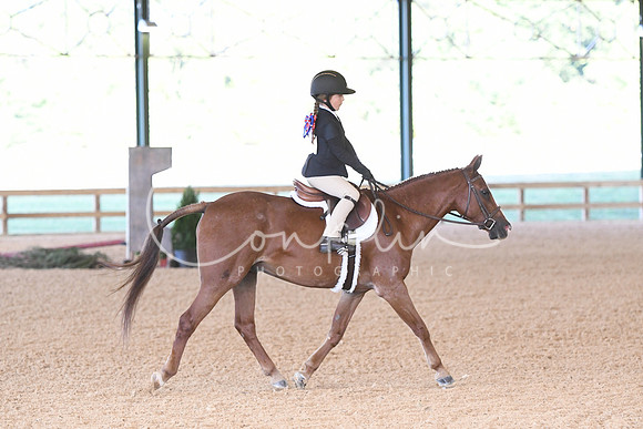 HSM_0046