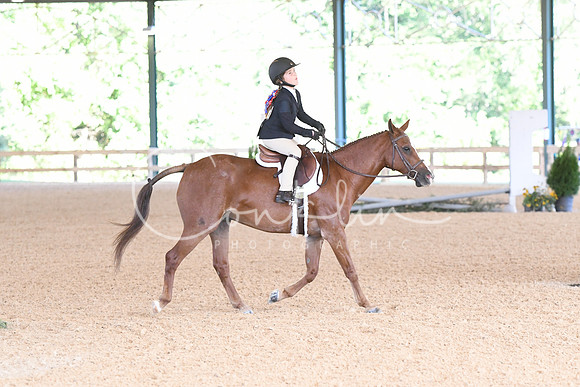 HSM_0048