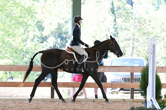 HSM_0648