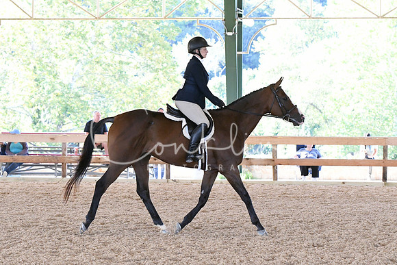 HSM_0649