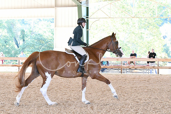 HSM_0668