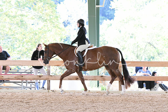 HSM_0686