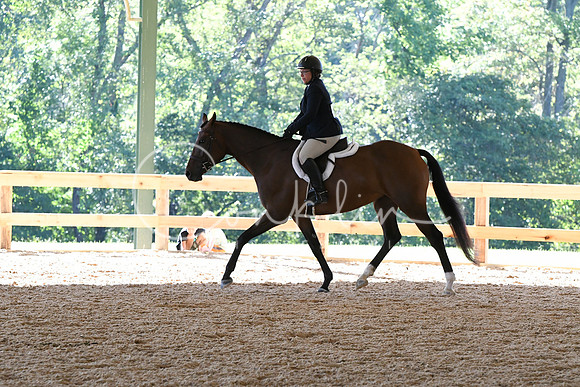 HSM_0711