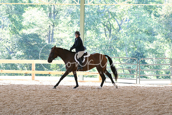HSM_0736