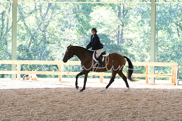 HSM_0737