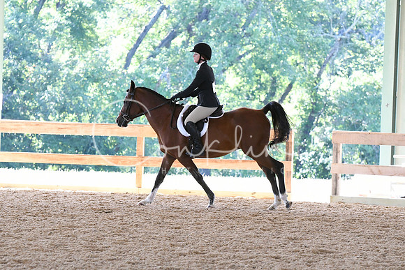 HSM_0740