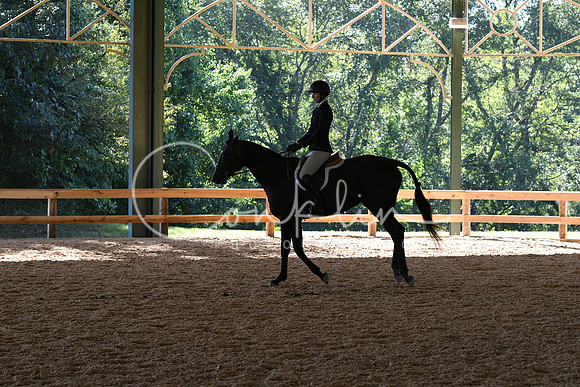 HSM_0746
