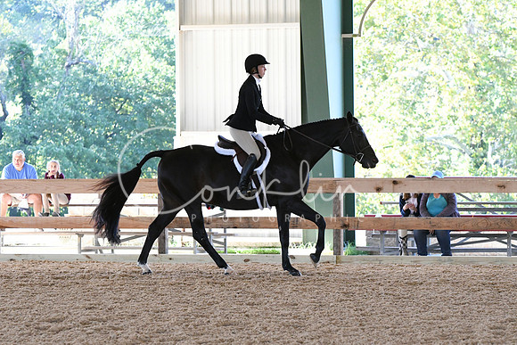 HSM_0763