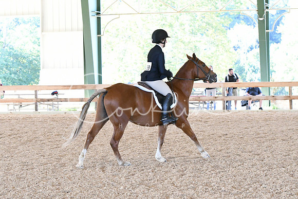HSM_0764