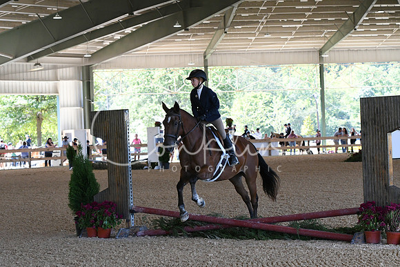 HSM_8643