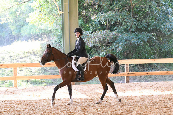 HSM_0537