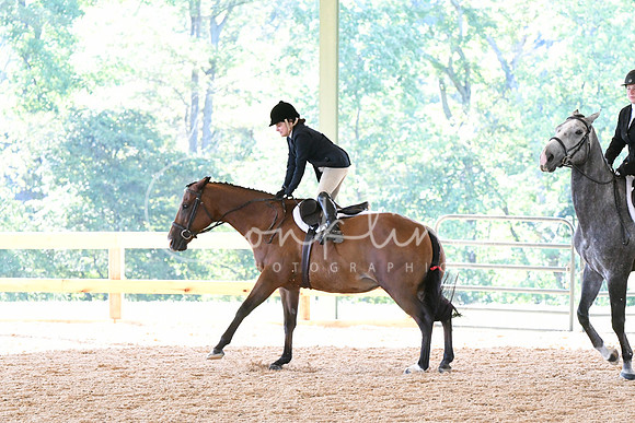 HSM_0553