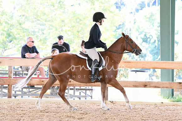 HSM_0575