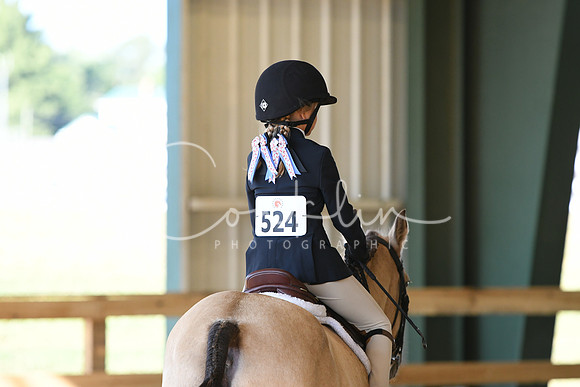 HSM_0027
