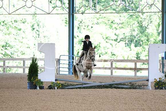 HSM_0031