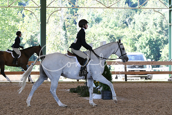 HSM_0579