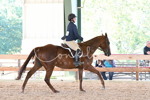 HSM_0582