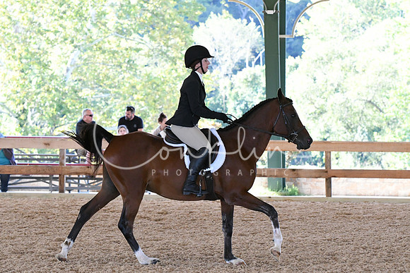 HSM_0584