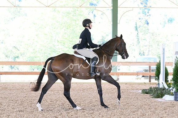 HSM_0585