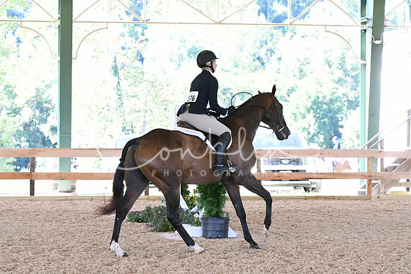 HSM_0586