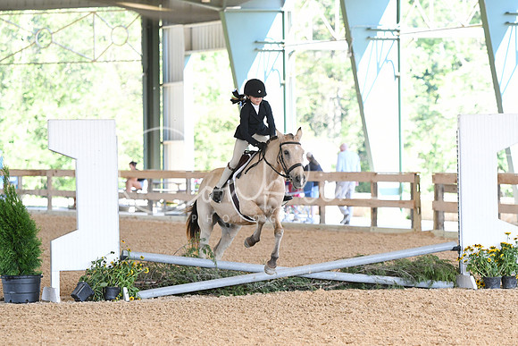 HSM_0038