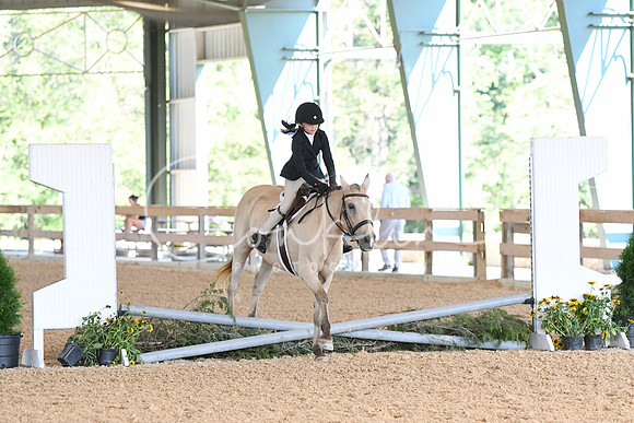 HSM_0039