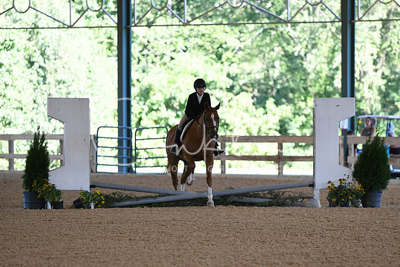 HSM_9941