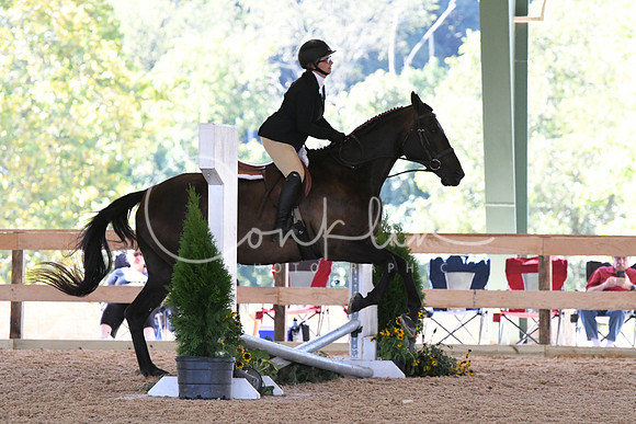 HSM_1096