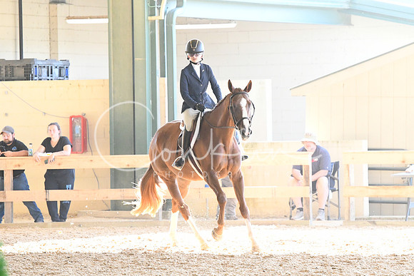 HSM_2951