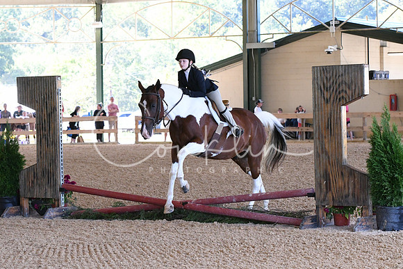 HSM_1811