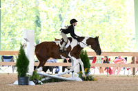HSM_1817