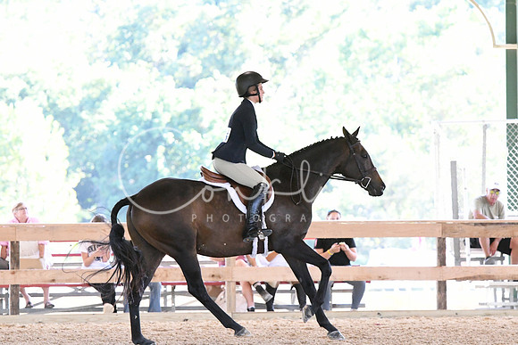 HSM_2908