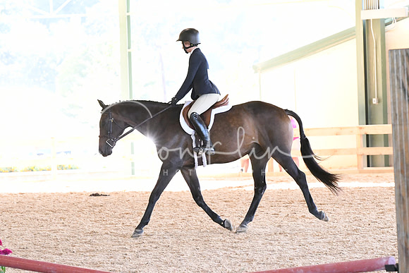 HSM_2909