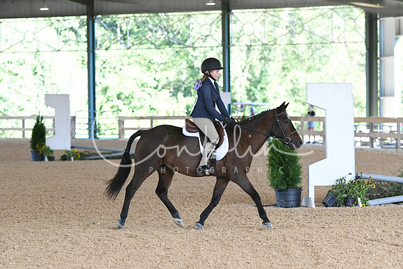HSM_0011