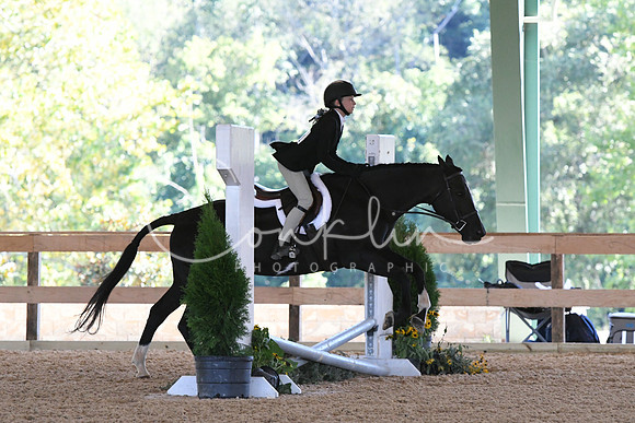 HSM_2782