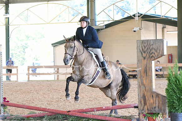 HSM_1037