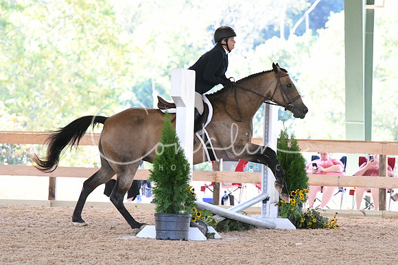 HSM_1039