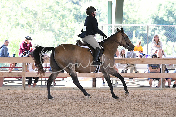 HSM_1041
