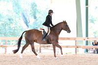 HSM_0872