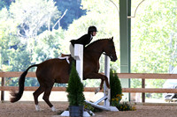 HSM_0878
