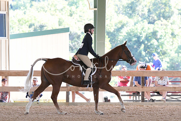 HSM_2729