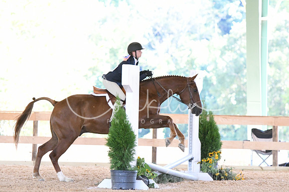 HSM_2654