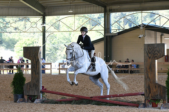 HSM_1201
