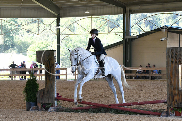 HSM_1202