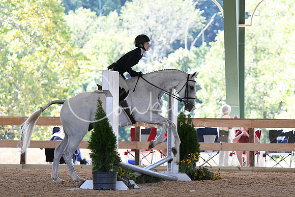 HSM_1205