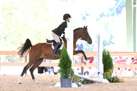 HSM_1149