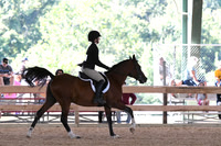 HSM_1151